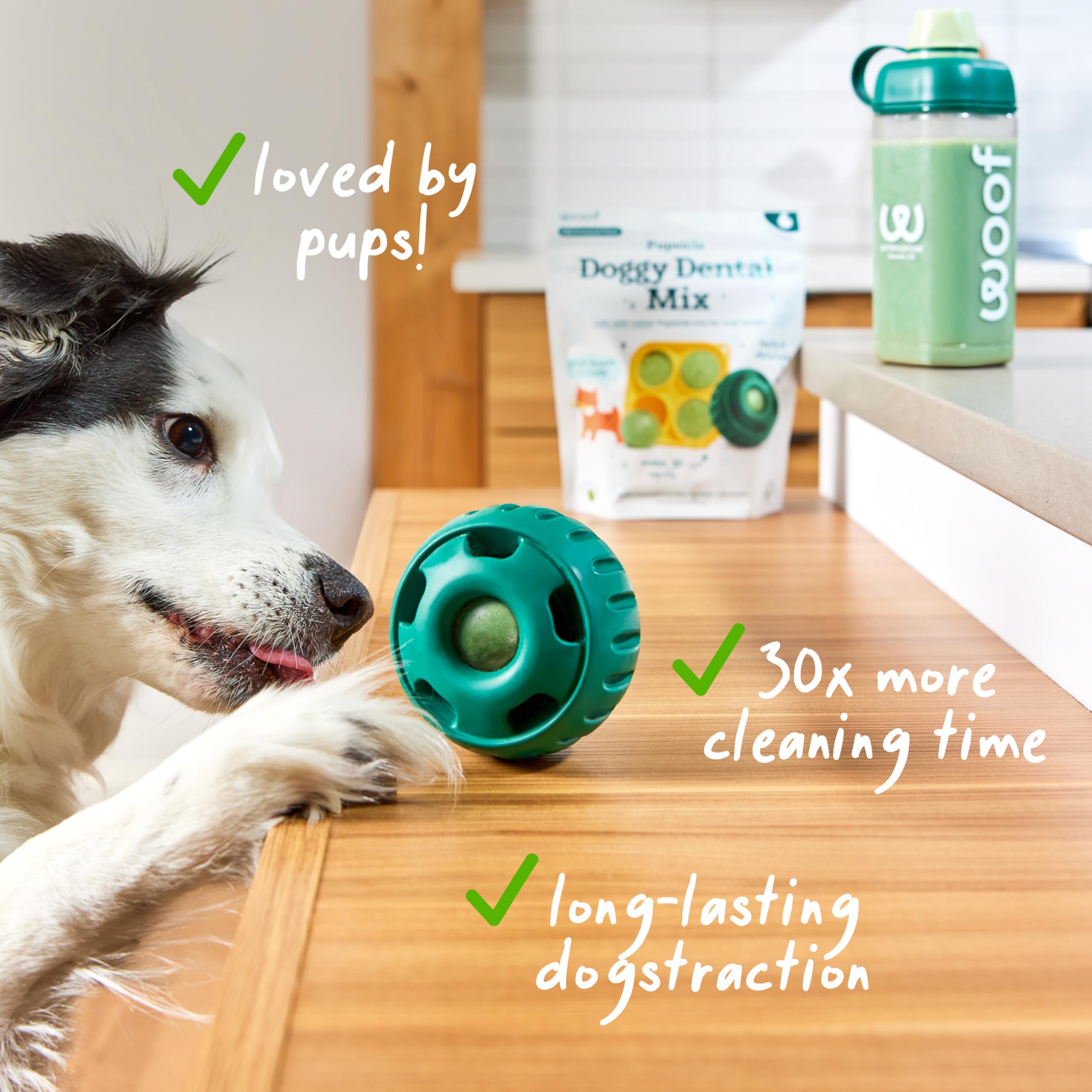 Woof Daily dental pop being prepared with water for simple routine.