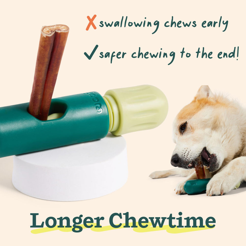 WOOF is proudly designed in Denver for safe, long-lasting dog play.