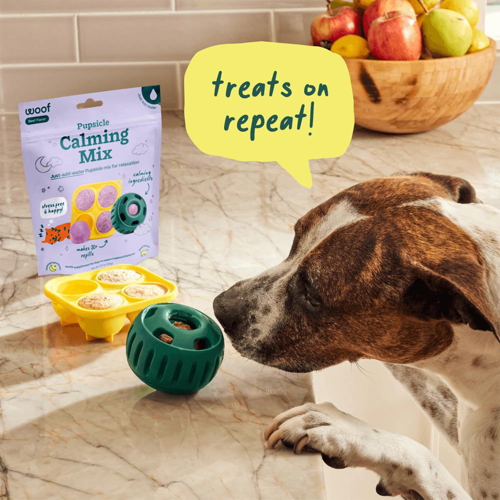 WOOF Denver-design-dog-toy image conveys thoughtful design from the brand headquarters.