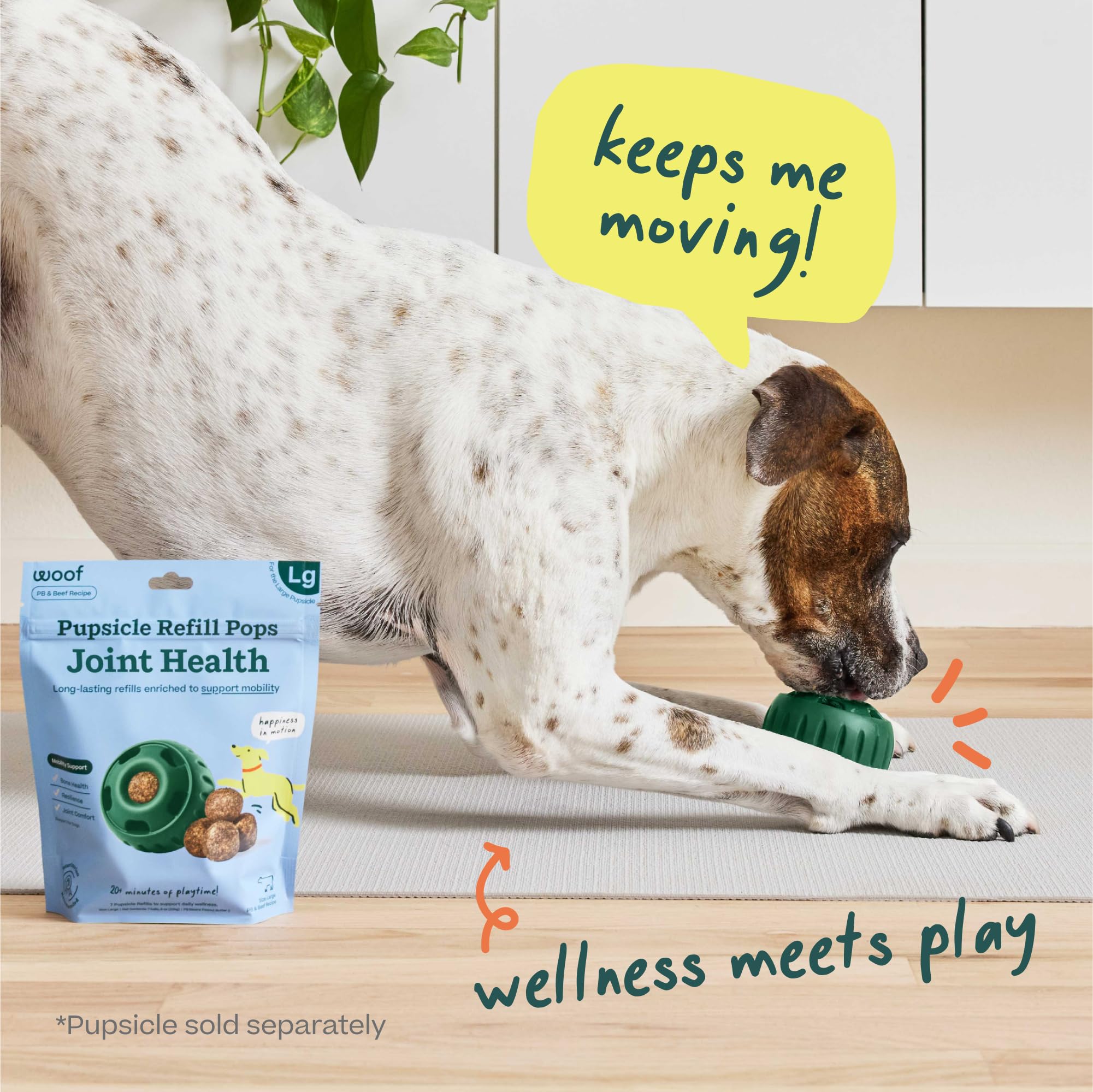 WOOF Hip & Joint Pupsicle used on hikes and car rides to support mobility.