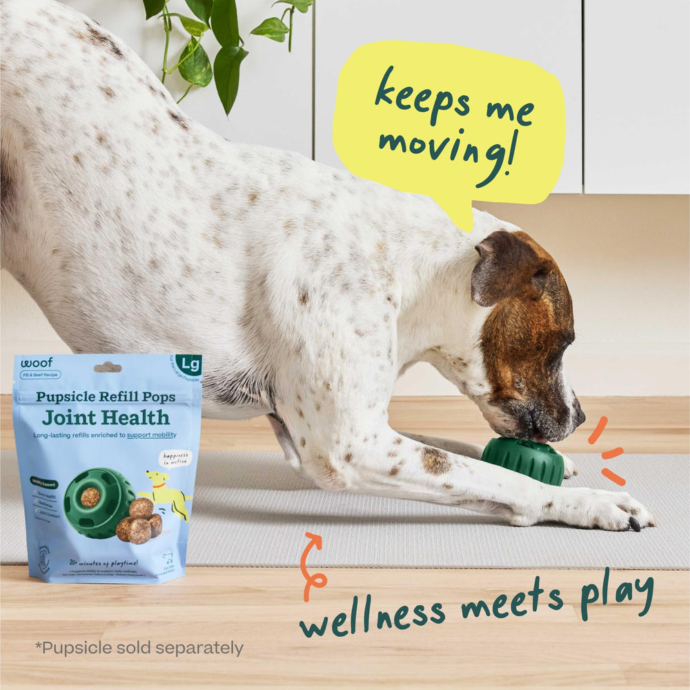 WOOF Hip & Joint Pupsicle used on hikes and car rides to support mobility.