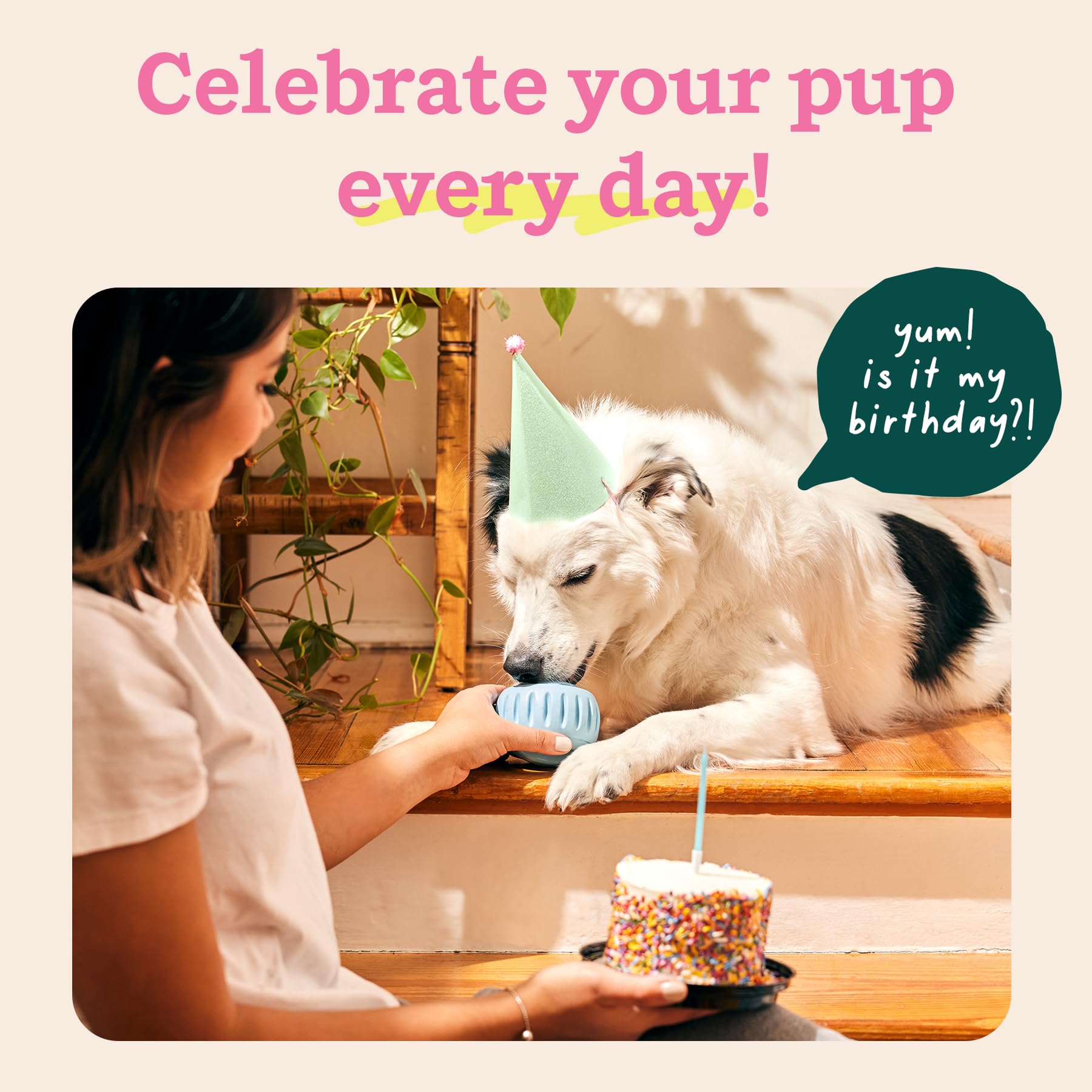 WOOF Party Pupsicle Buddy Blue being opened for spill-free filling.