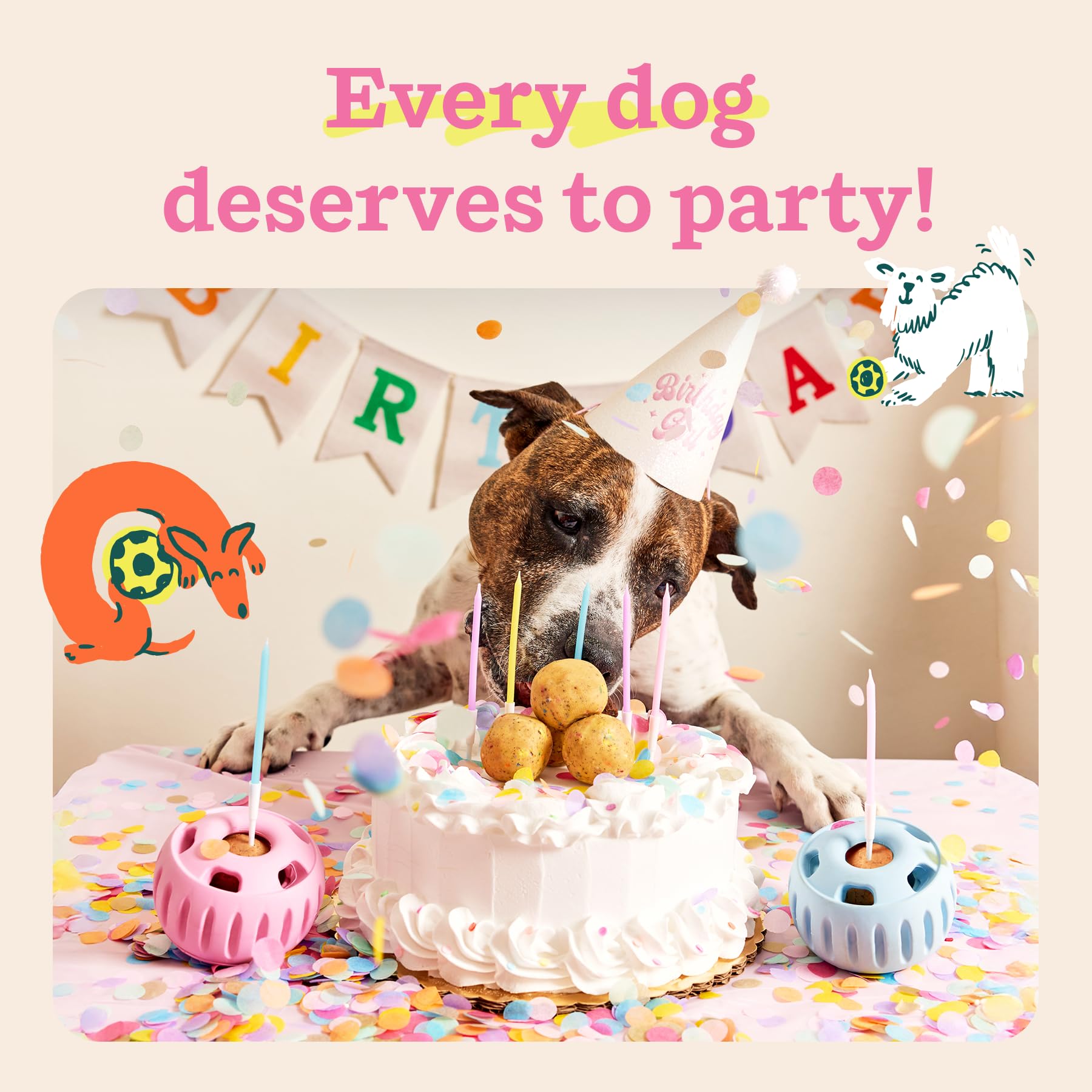 WOOF Pupsicle Birthday Pops designed in Denver for canine well-being.
