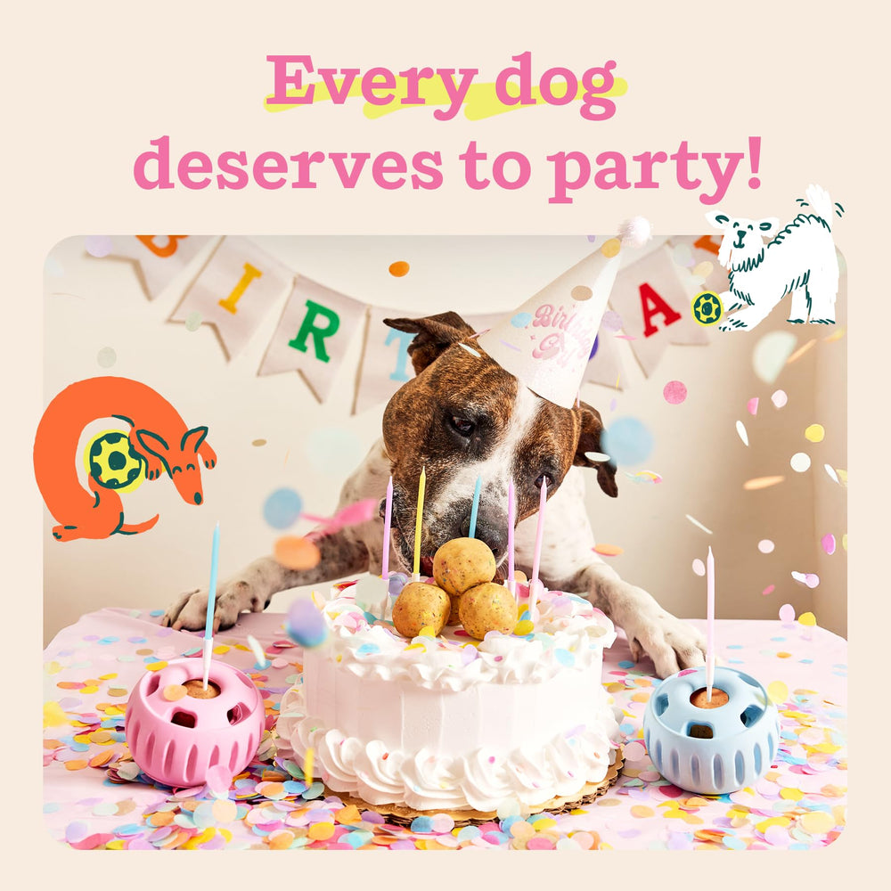 WOOF Pupsicle Birthday Pops designed in Denver for canine well-being.