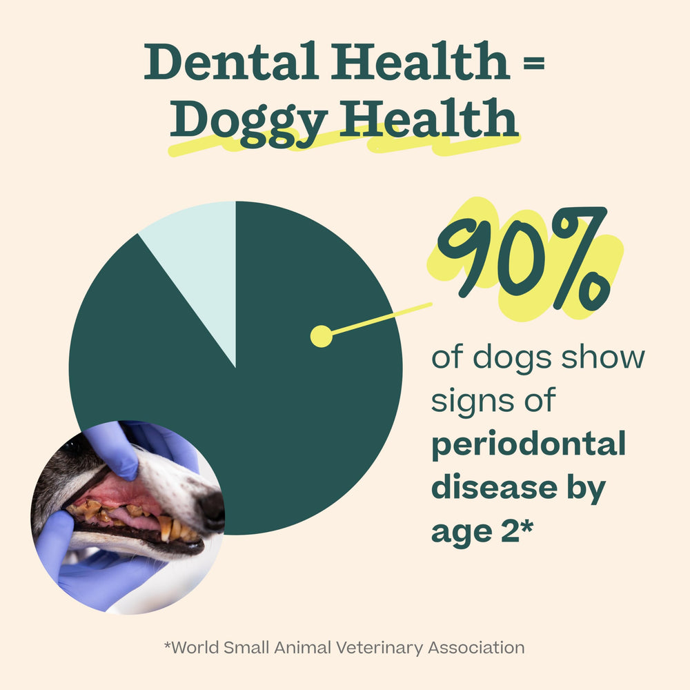Woof Pupsicle and dental routine image shows extended chew time for cleaning.