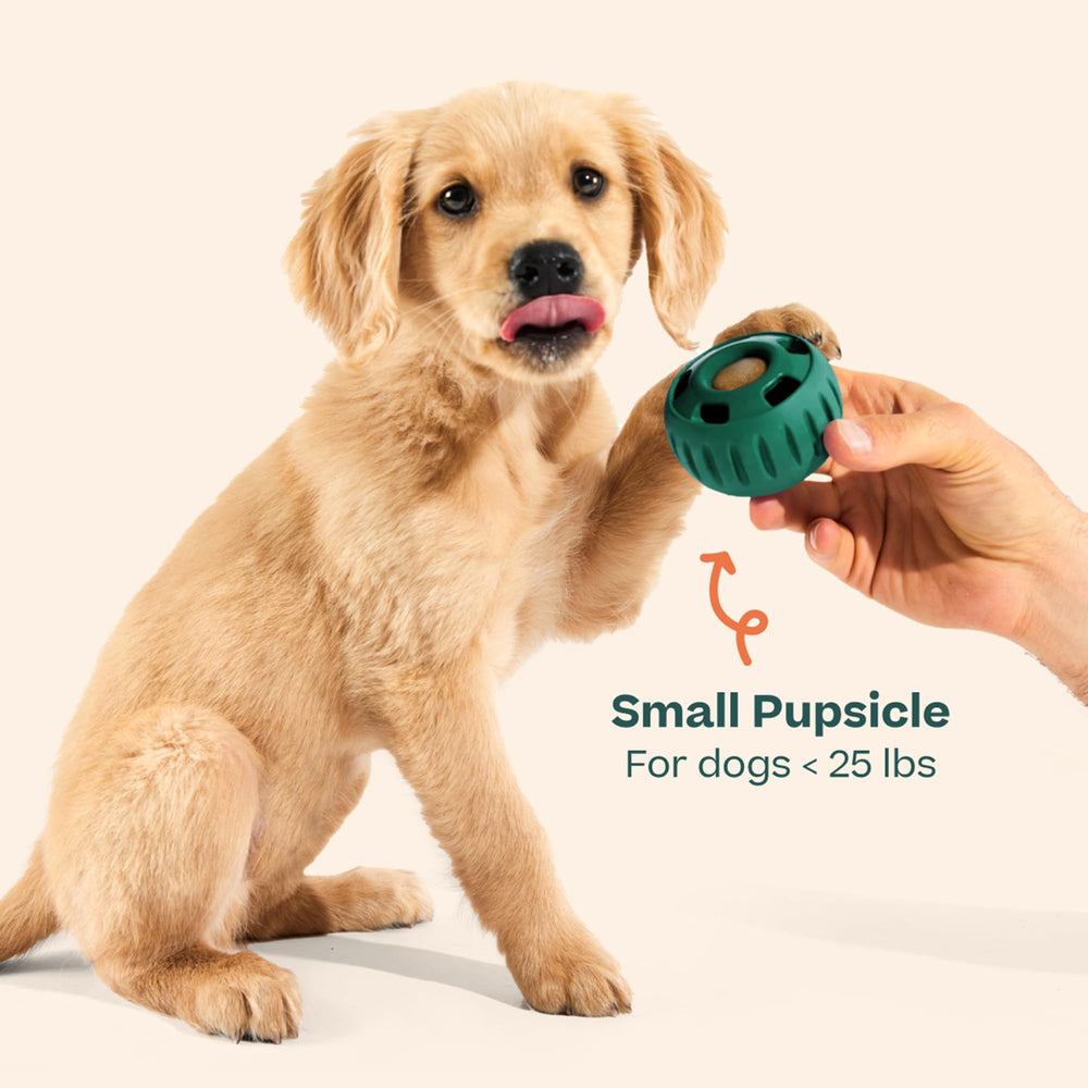 Pupsicle diseño robusto para perros medianos y grandes facilita juego seguro.