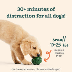WOOF Pupsicle mold with open lid enables easy filling and cleaning.
