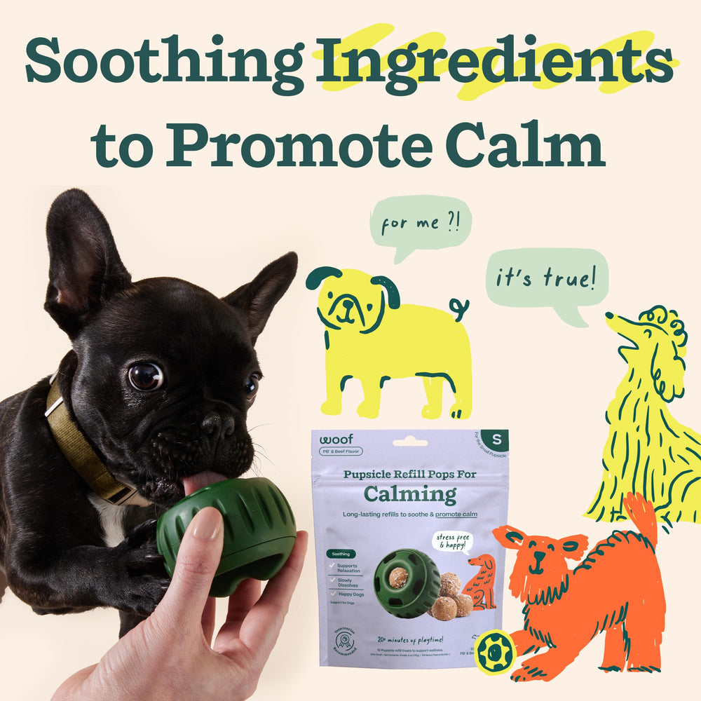 WOOF Pupsicle Refill Pops beef-tallow and peanut butter flavor for tasty calm