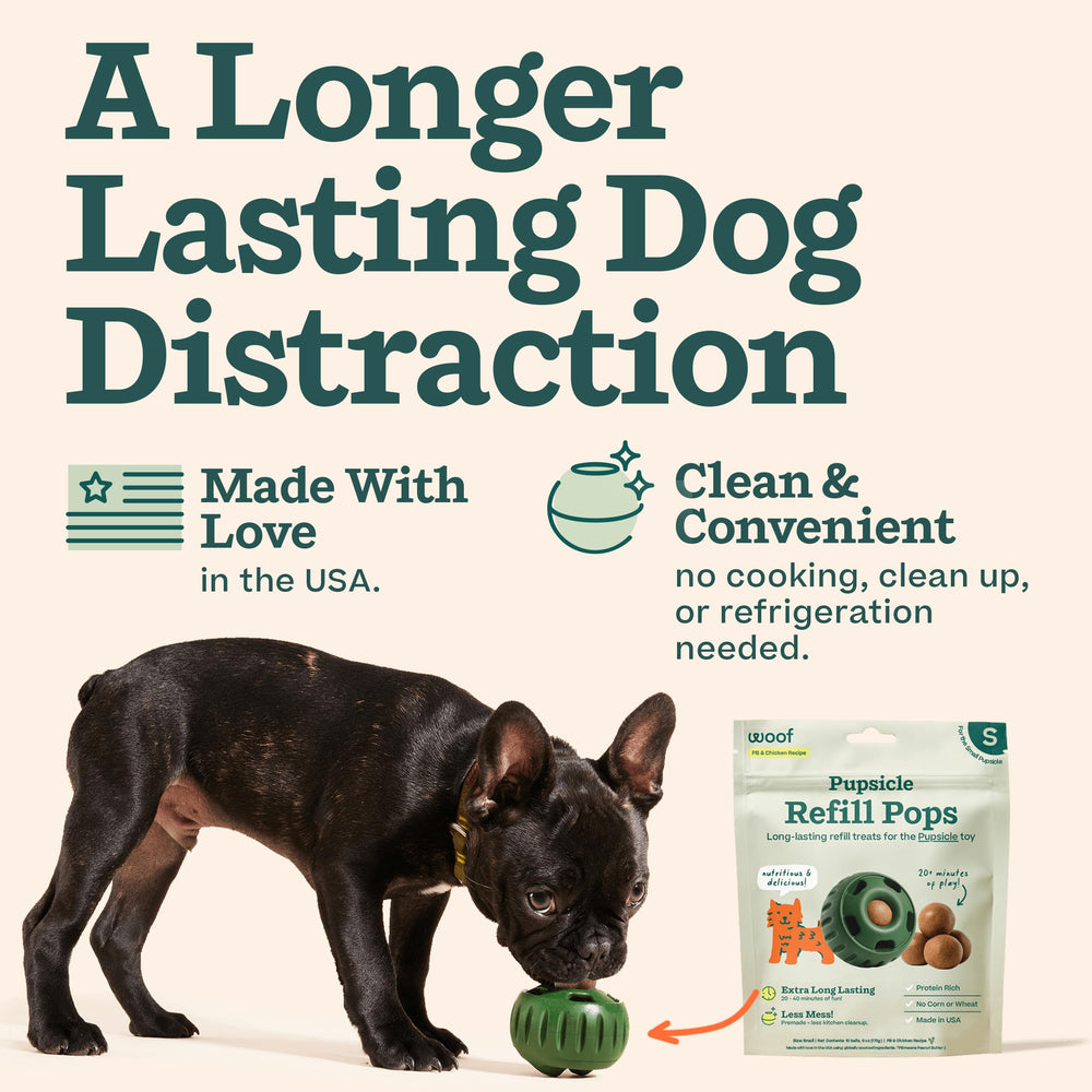 A dog enjoys a Pupsicle Refill Pop during playtime for enrichment.
