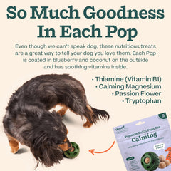 WOOF Pupsicle Refill Pops ingredient list featuring beef plasma and blueberry powder