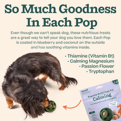 WOOF Pupsicle Refill Pops peanut butter swirl shows dog-friendly flavor.