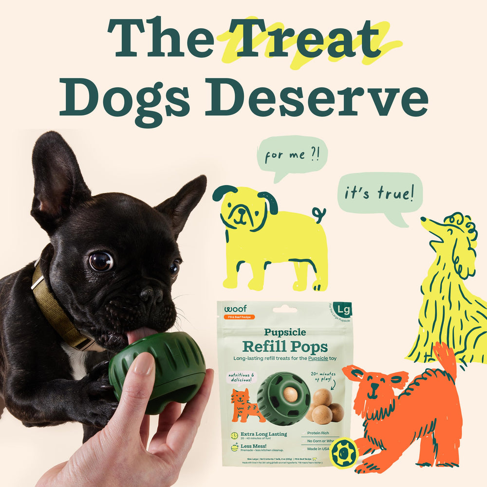 WOOF Pupsicle Refill Pops serving tray shows dogs enjoying a rewarding treat.