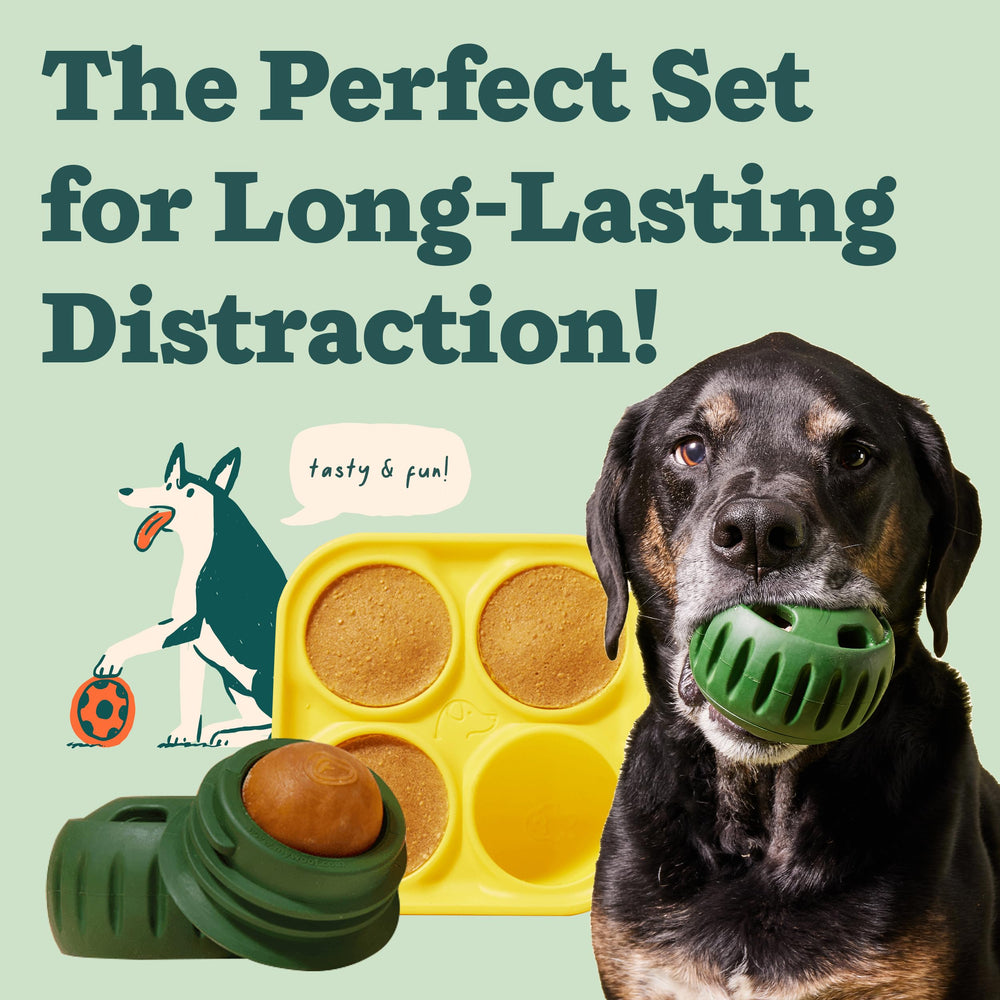 WOOF Pupsicle treat-tray image highlights silicone mold for safe, mess-free creations.
