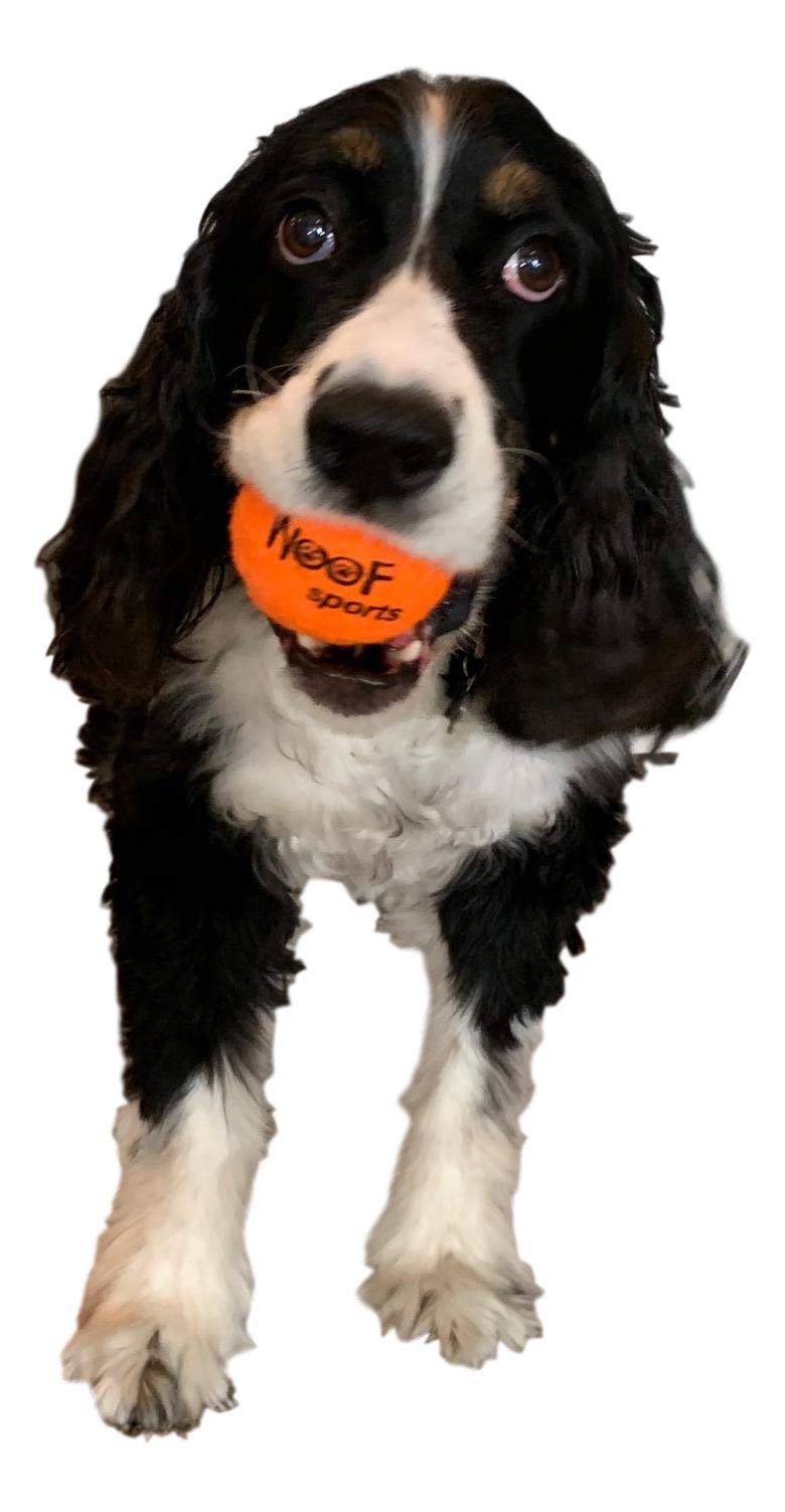 Woof Sports mesh carrying bag keeps balls organized on park trips.