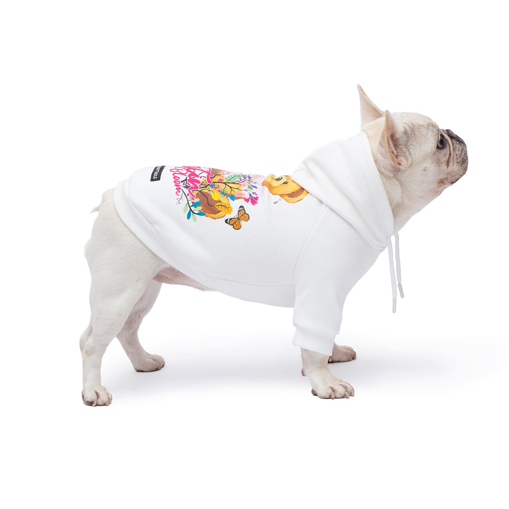 woof trails Blooming Teddy Hoodie back view with leash hole for easy walks