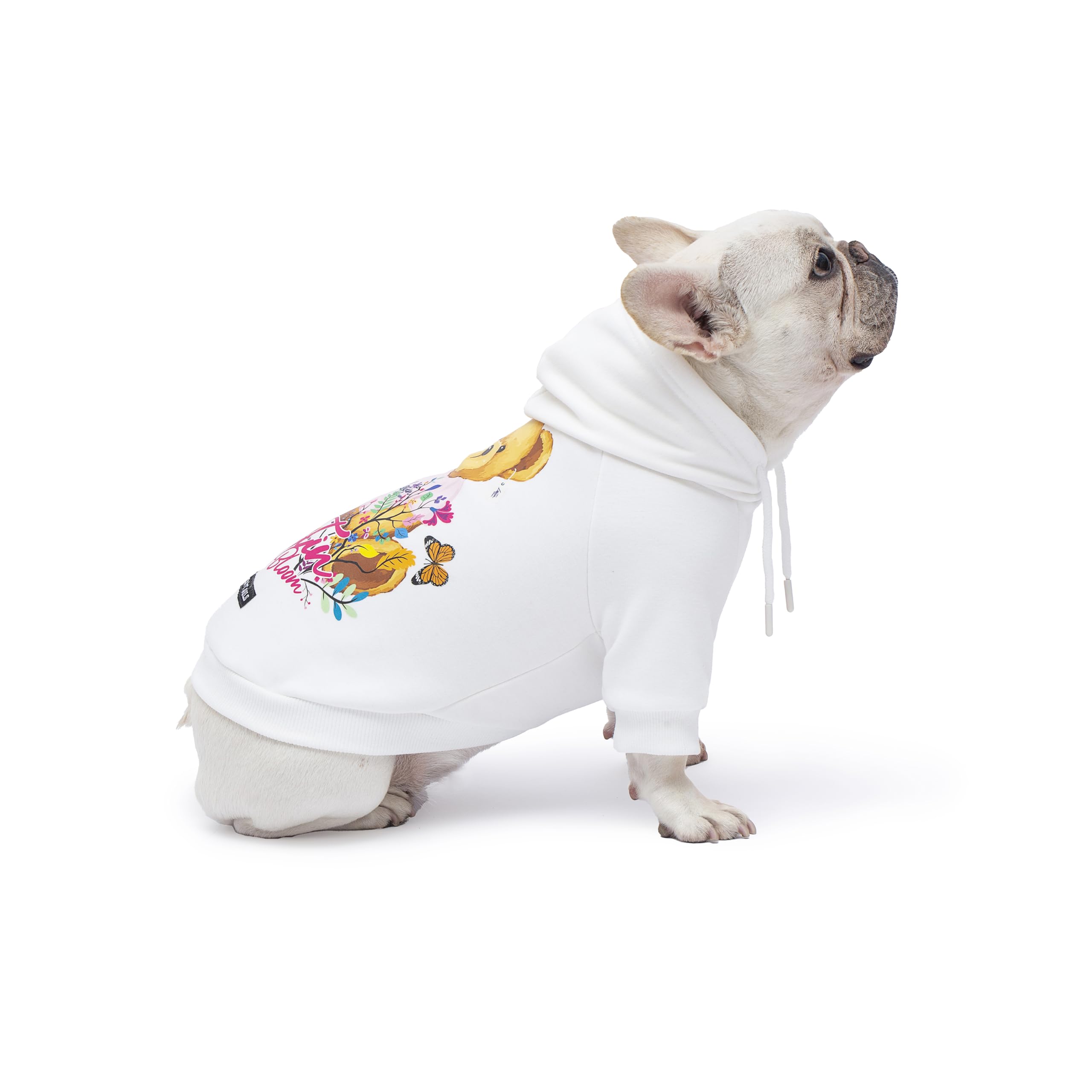 woof trails Blooming Teddy Hoodie front view in white for small dogs, extra warmth and comfort