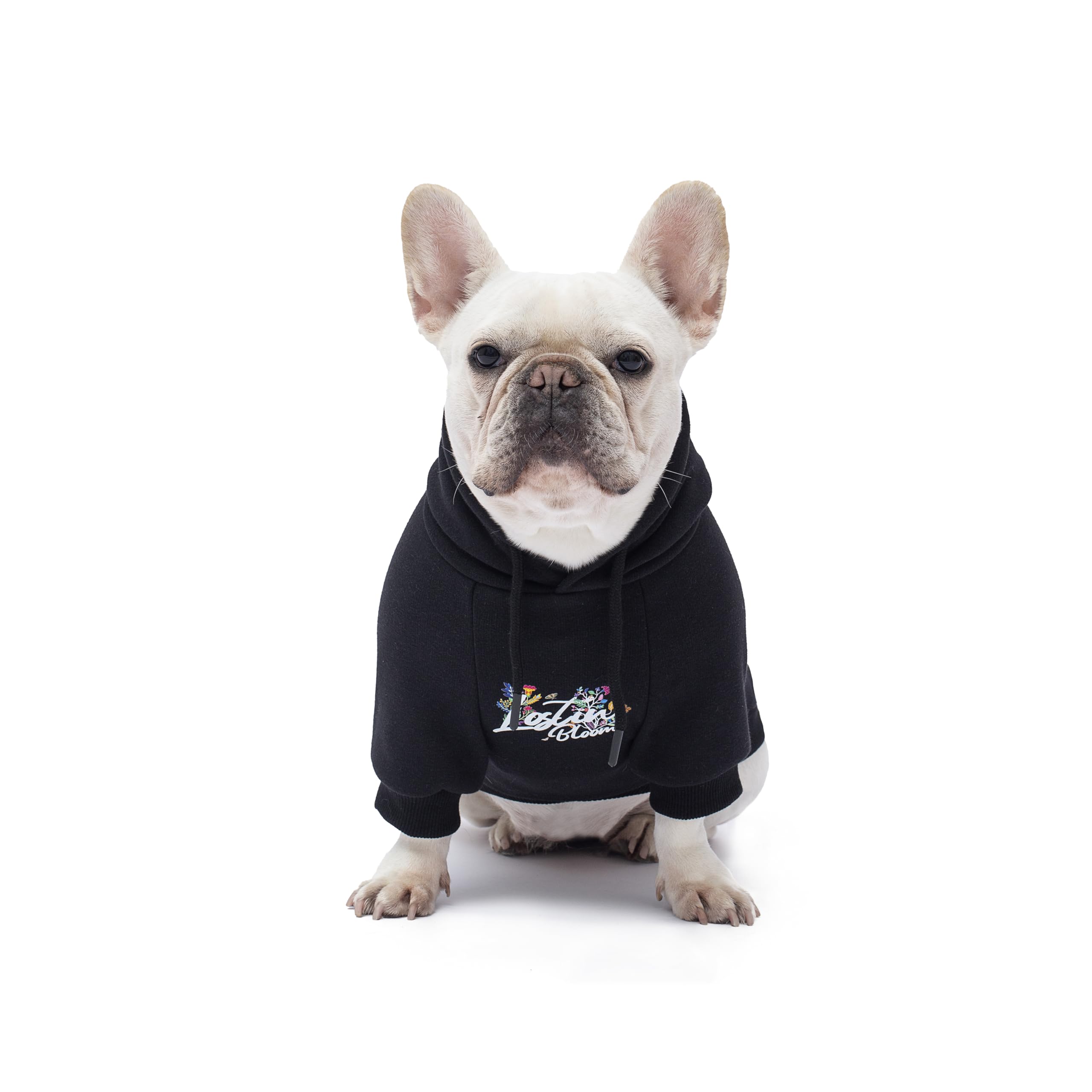 Woof Trails Blooming Teddy Hoodie side fit demonstrates stretch for comfortable movement.
