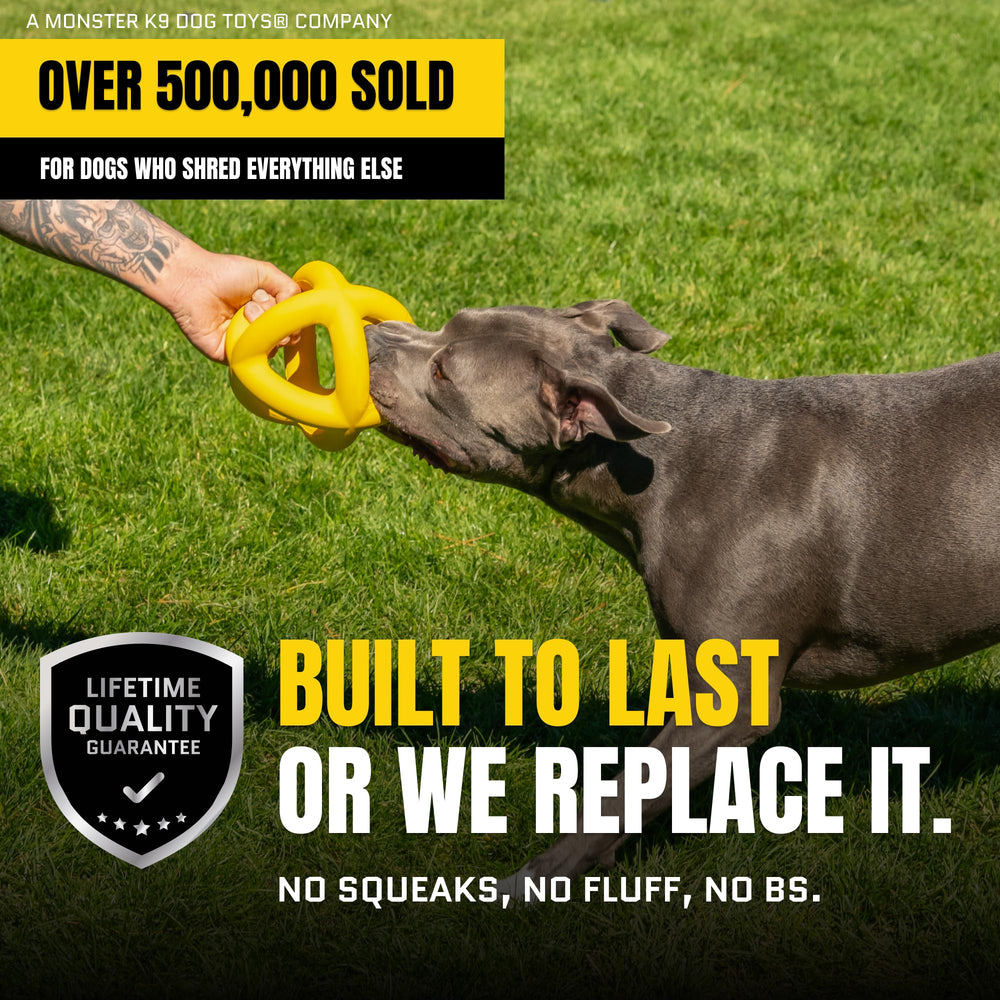 WoofBite giant-xl-ball fetch session with durable rubber.