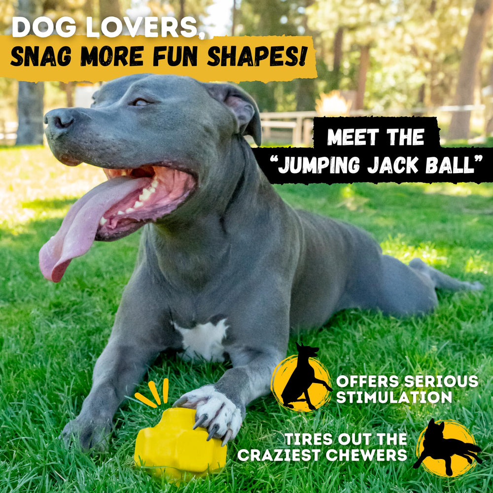 WoofBite giant-xl-ball safe, non-toxic rubber for chewing.