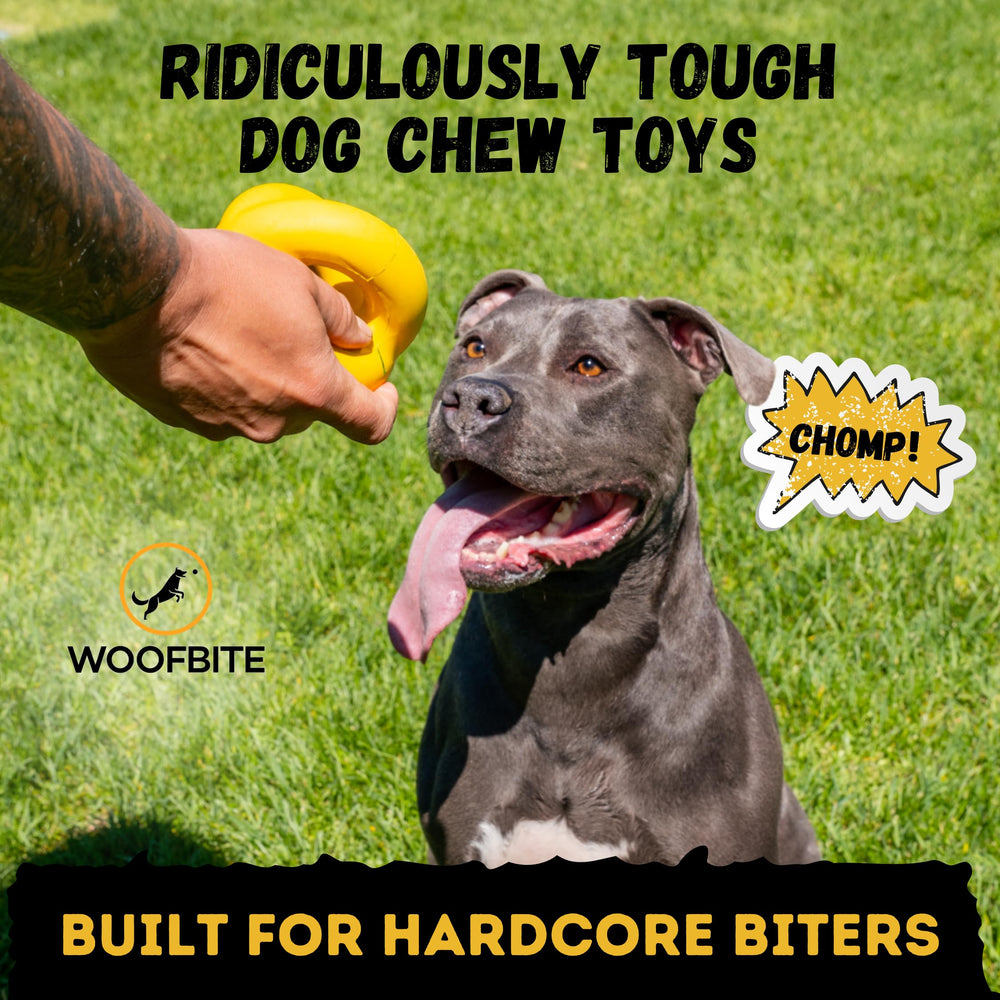WoofBite Indestructible Ball in action as a dog chews aggressively