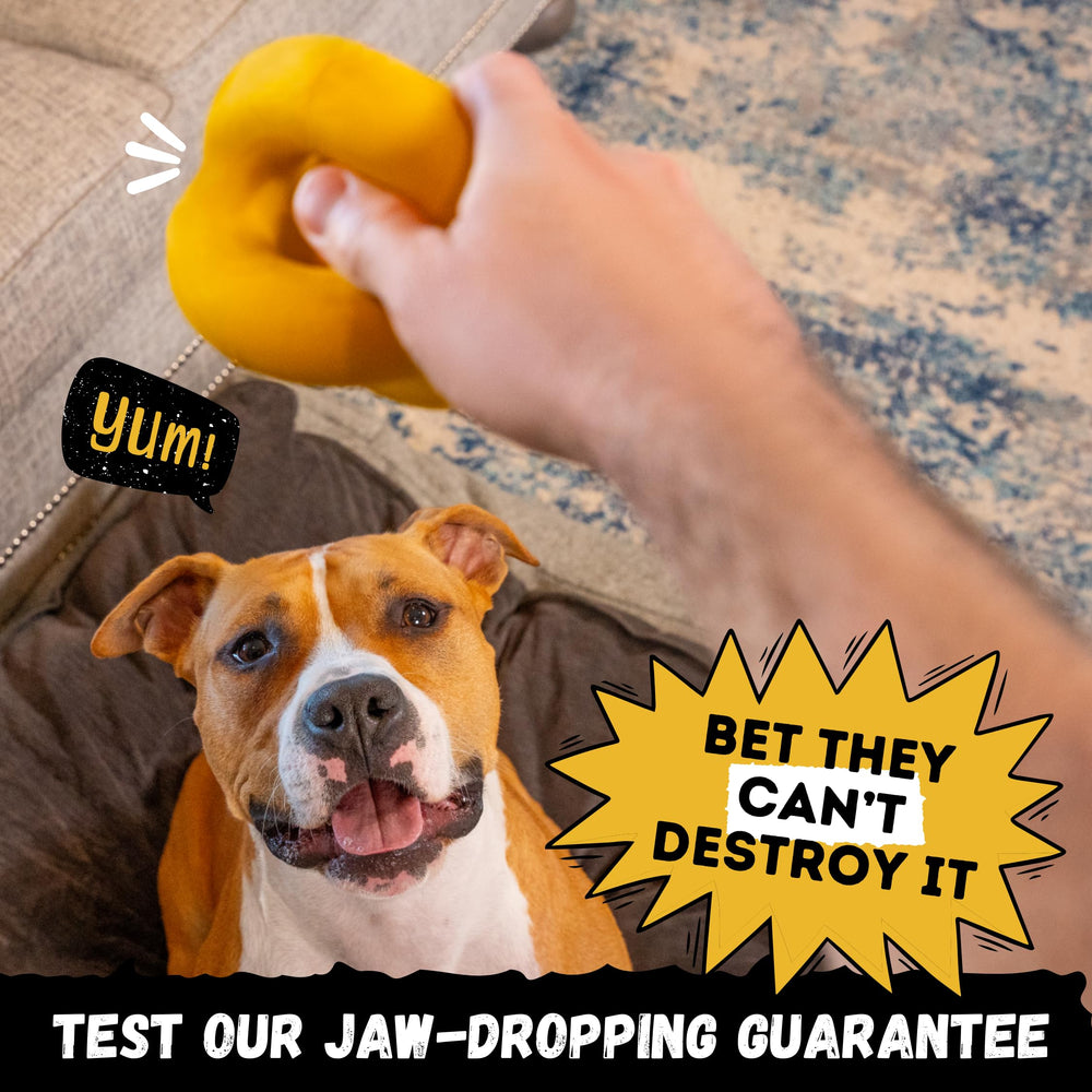 WoofBite Indestructible Ball during fetch to highlight visibility and bounce