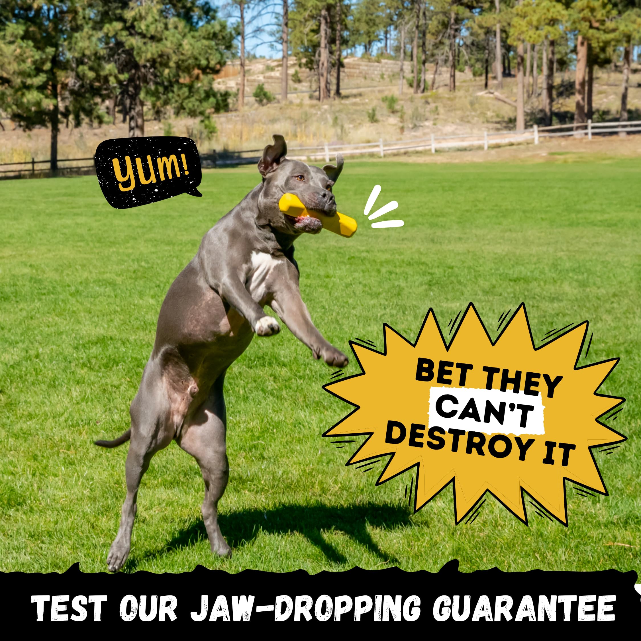 WoofBite Indestructible Stick Toy safe non-toxic natural rubber supports healthy chewing habits