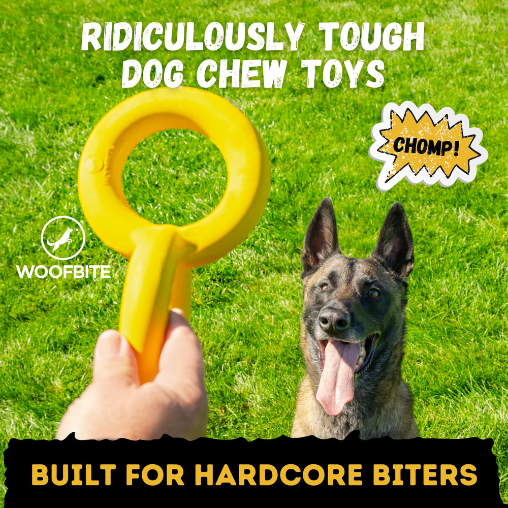 WoofBite Tug Rings in action demonstrate engaging chew sessions for large breeds.