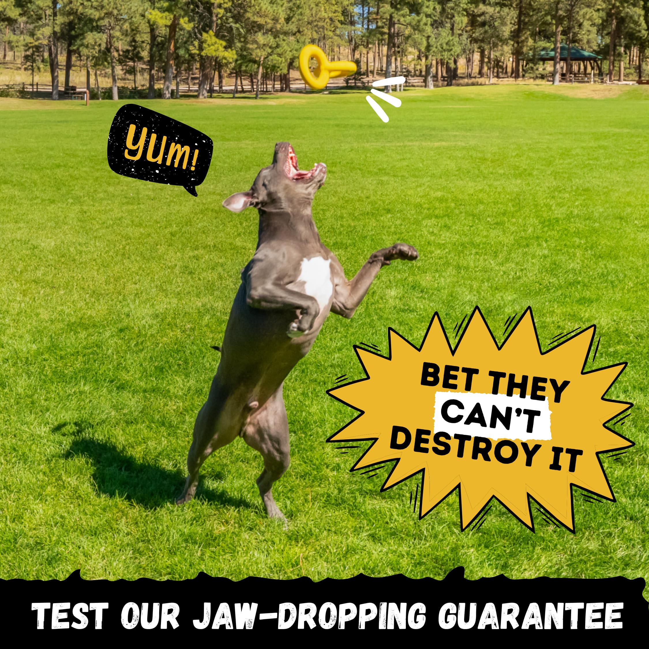 WoofBite Tug Rings enable fetch and mental stimulation during playtime for big dogs.