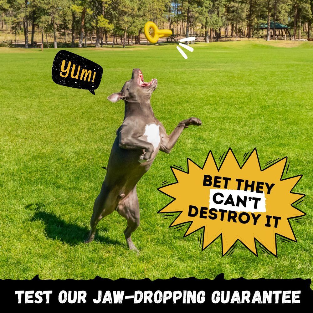 WoofBite Tug Rings enable fetch and mental stimulation during playtime for big dogs.