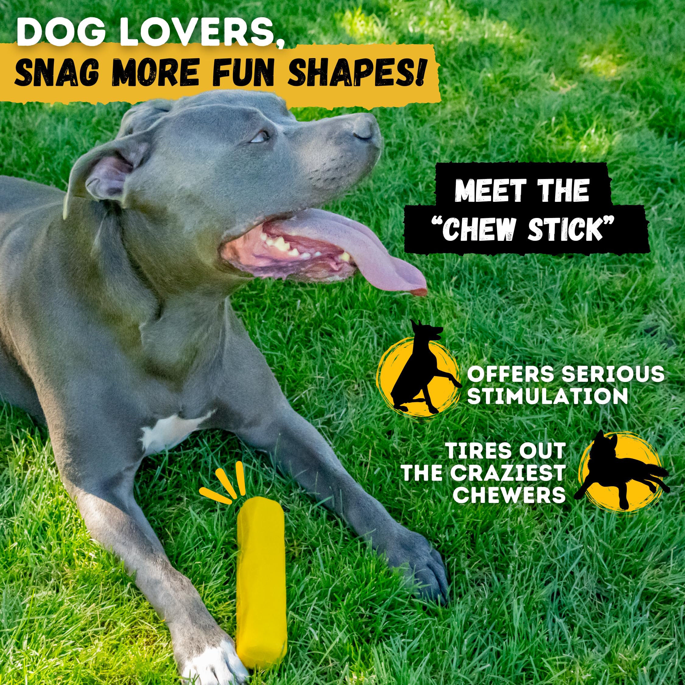 WoofBite Tug Rings outdoors for fetch and training sessions with focused play.