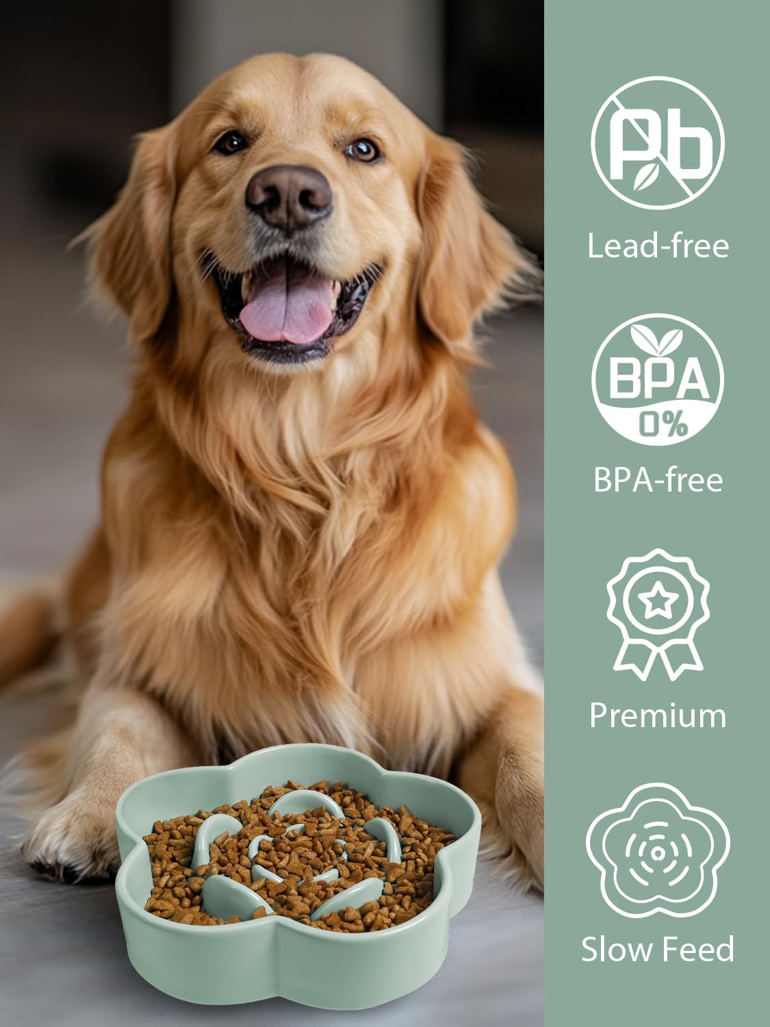 WoofinPets 8 inch bowl fits medium to large dogs for controlled eating