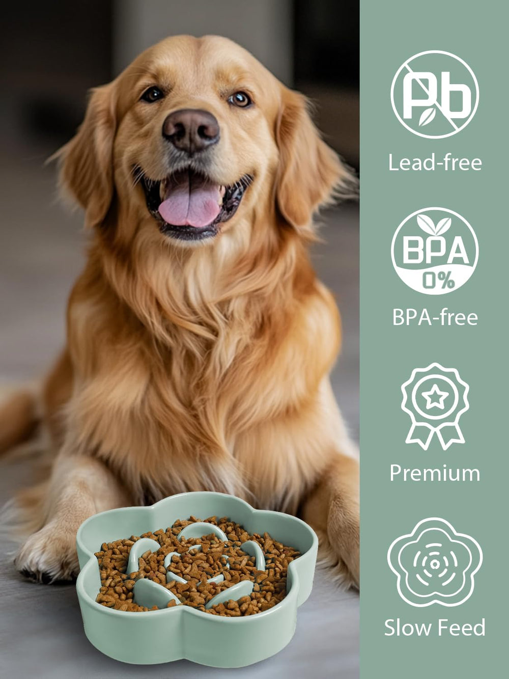 WoofinPets 8 inch bowl fits medium to large dogs for controlled eating