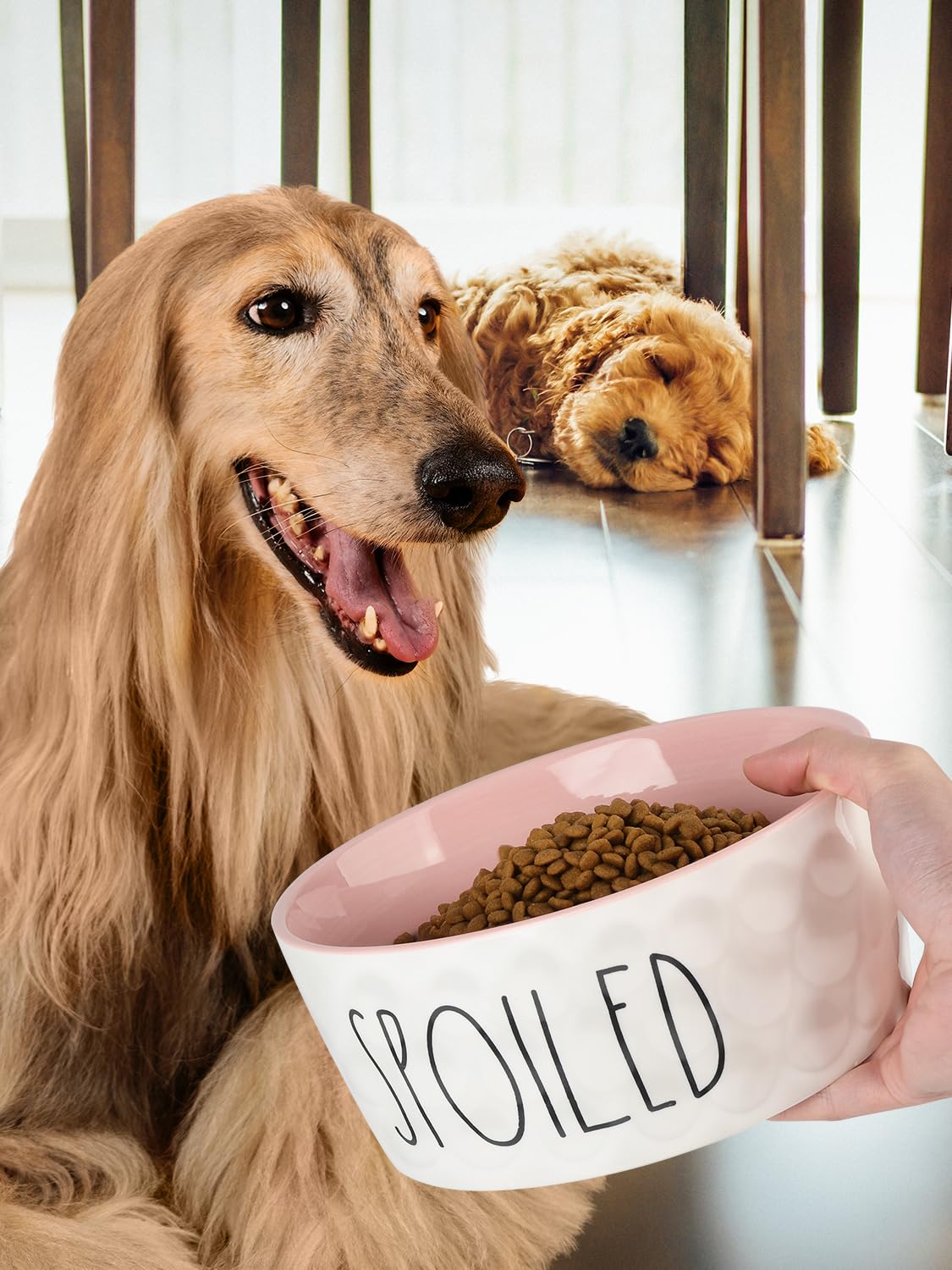 WoofinPets large-dog feeder design for big breeds