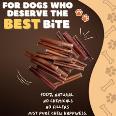 Woofley's 6inch buffalo bully stick hero shot highlights durable chews