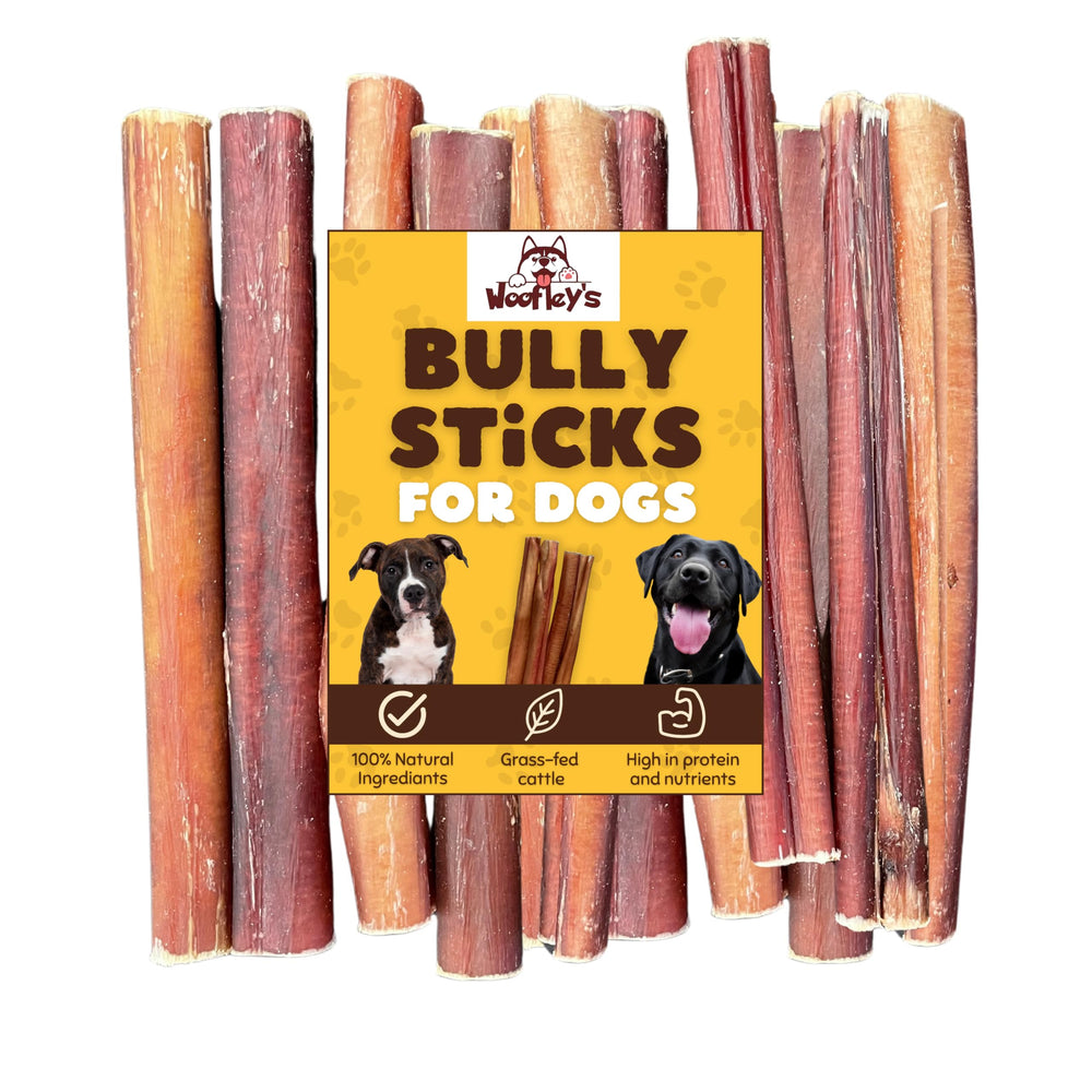 Woofley's buffalo bully stick pack close-up shows a long-lasting chew