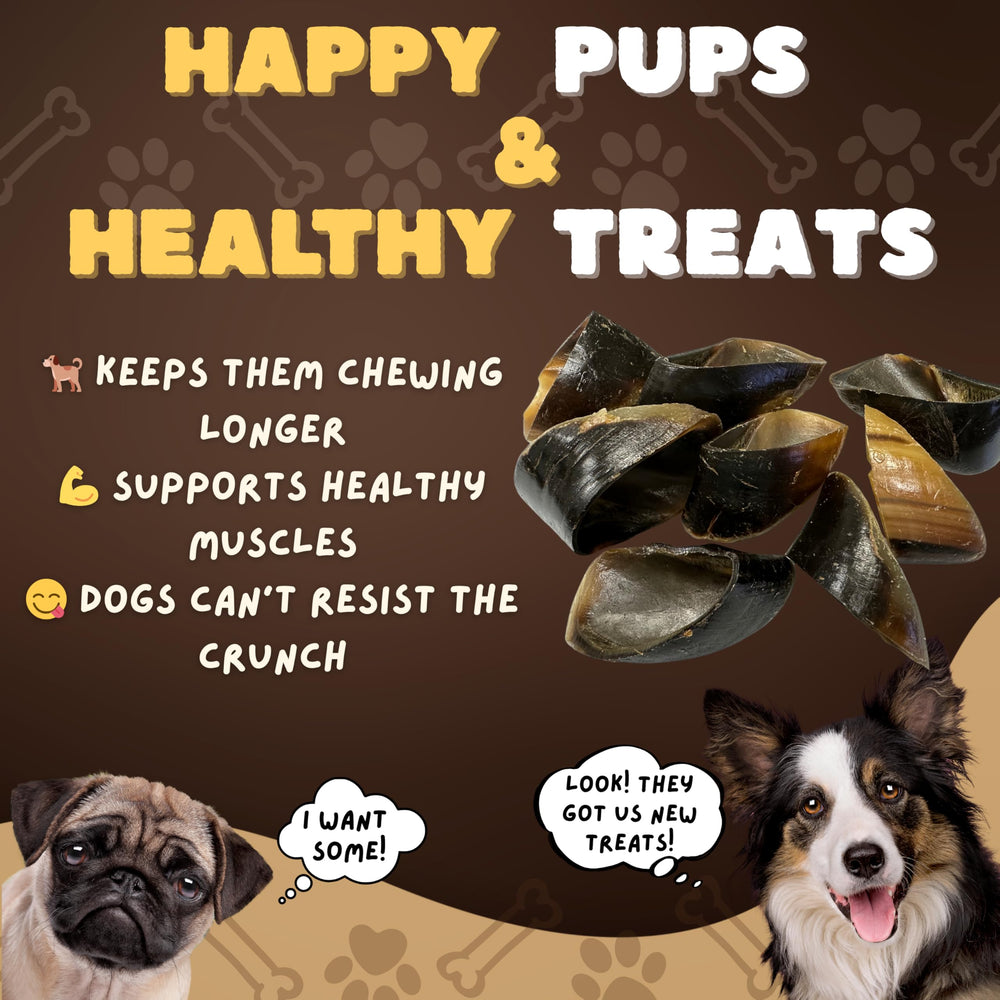 Woofley's cow hooves natural single-ingredient treat showcases healthy dental support idea