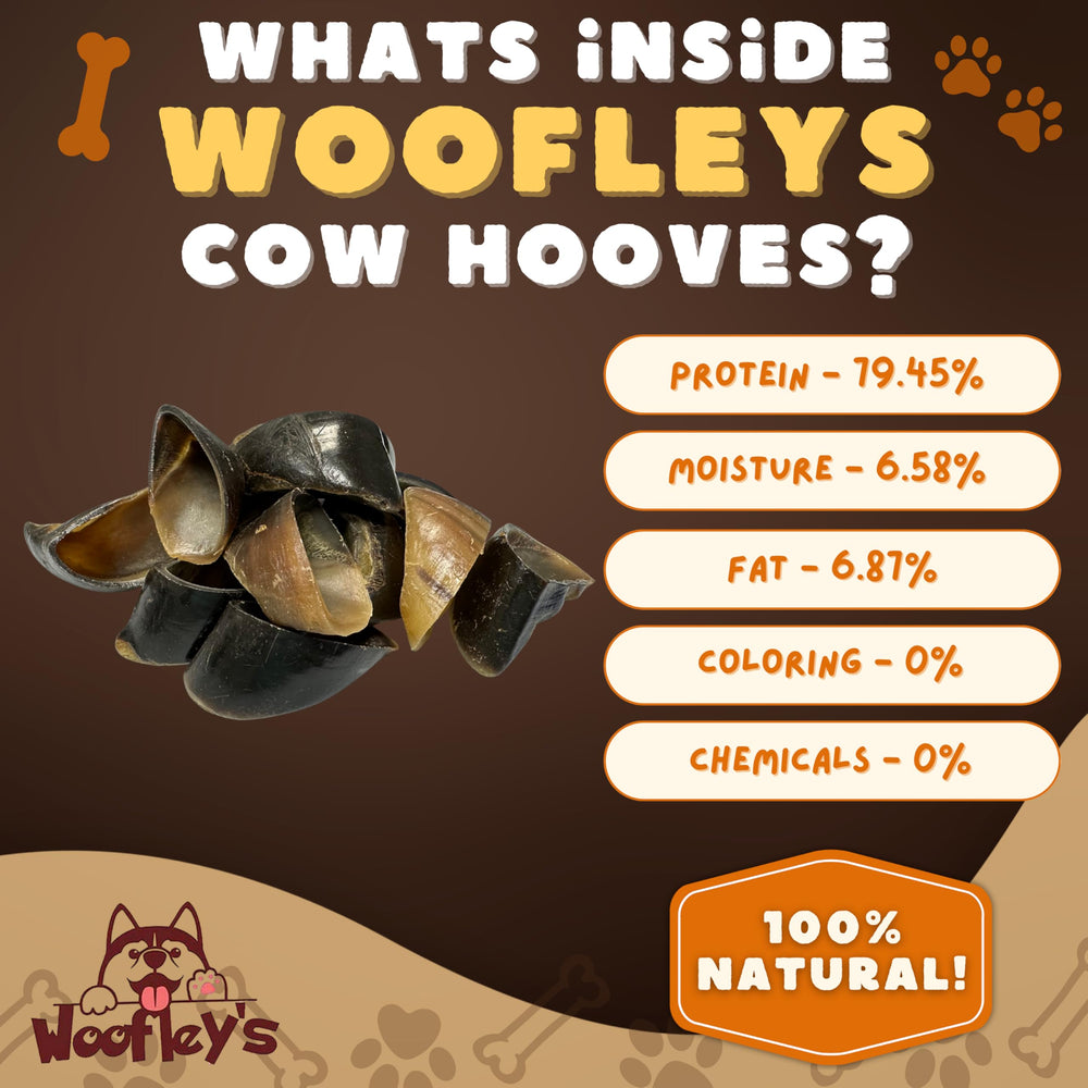 Woofley's cow hooves sourcing from grass-fed cattle emphasizes clean, chemical-free treats