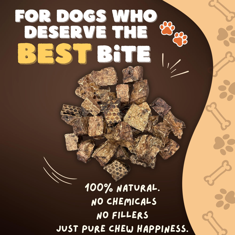 Woofley's Crunchy Lamb Lung Cubes closeup-plate – natural lamb lung texture ready for chewing