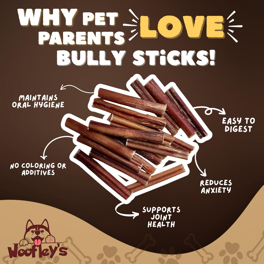 Woofley's dog chewing bully stick durability hints at engaging chew time