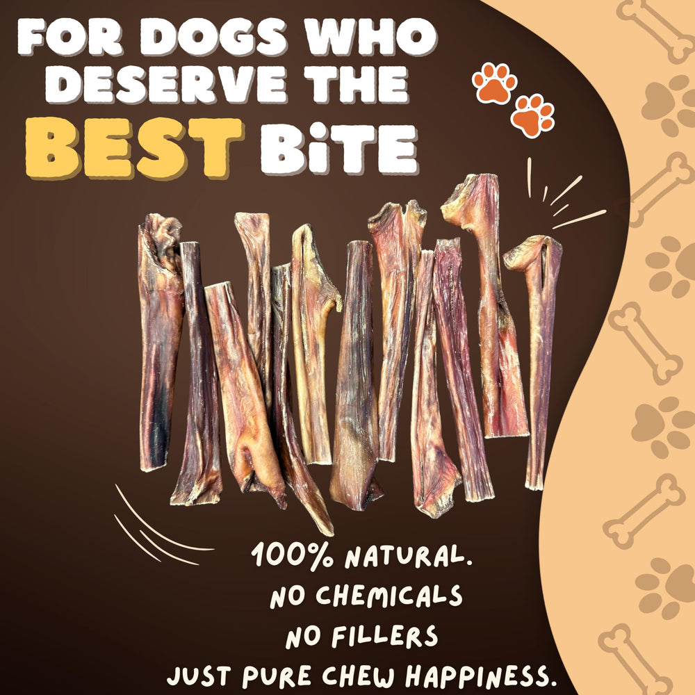 Woofley's Esophagus Stick close-up texture reveals natural jerky strands.