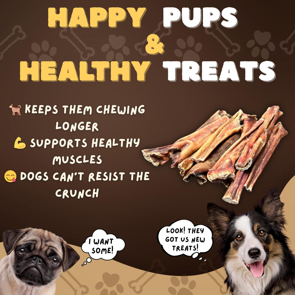 Woofley's Esophagus Stick dental-health focus suggests gum and teeth care.