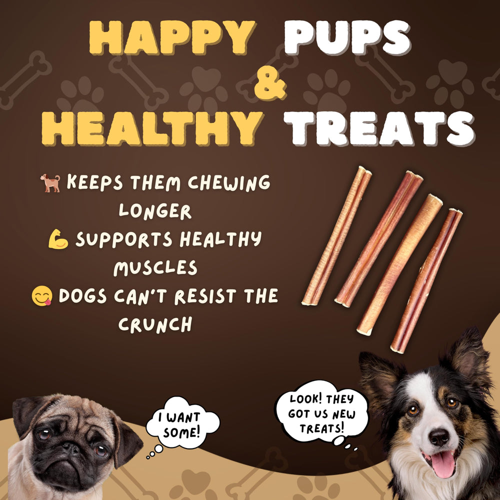 Woofley's single-ingredient beef pizzle chew for mindful chewing.