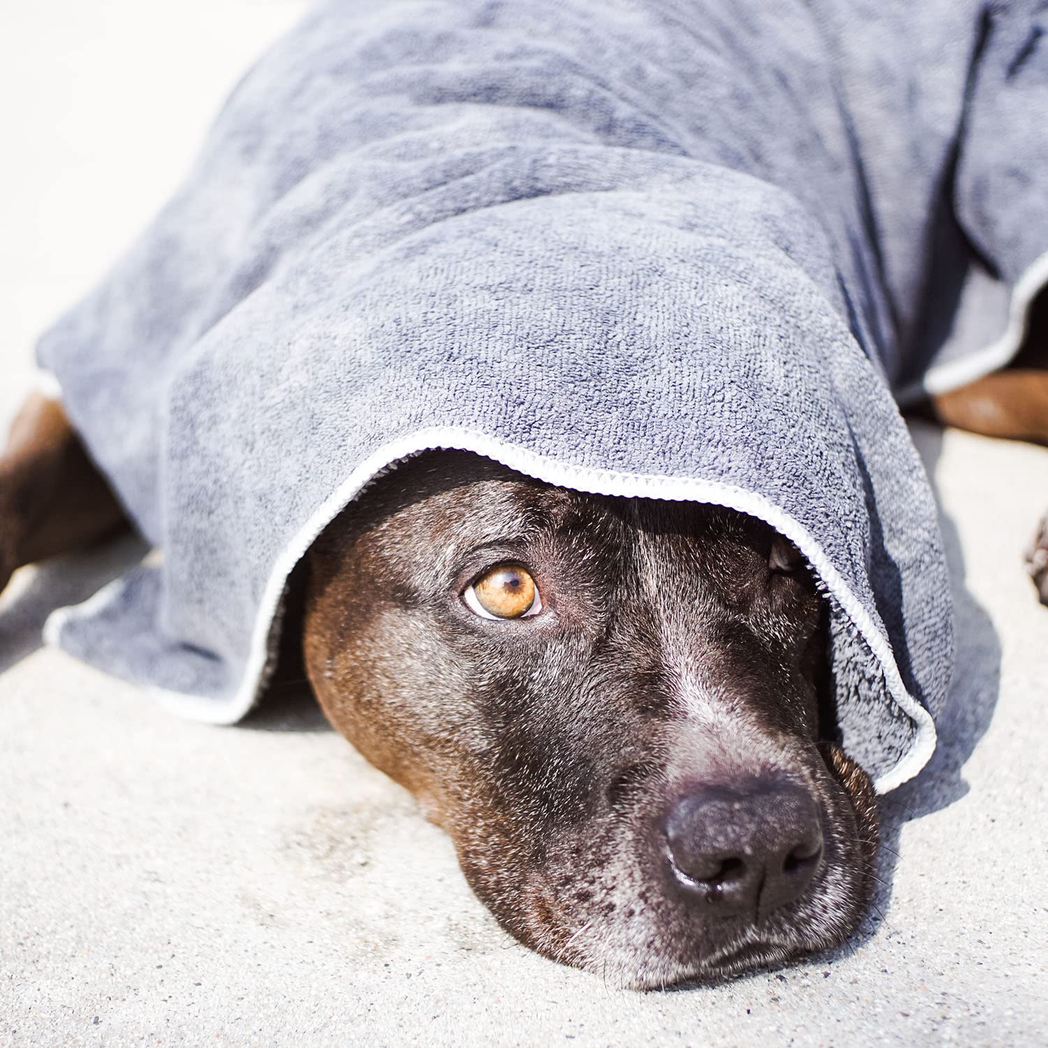 Wooflinen microfiber pet bath towel close-up showing plush texture for gentle drying.