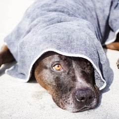 Wooflinen microfiber pet bath towel close-up showing plush texture for gentle drying.