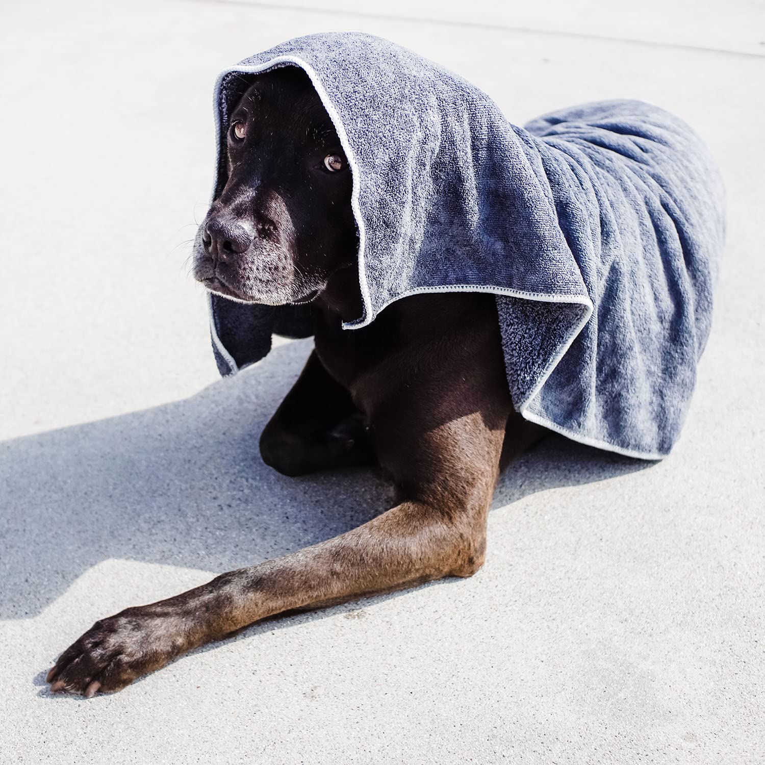 Wooflinen microfiber pet bath towel blanket-function image for cozy post-bath coverage.