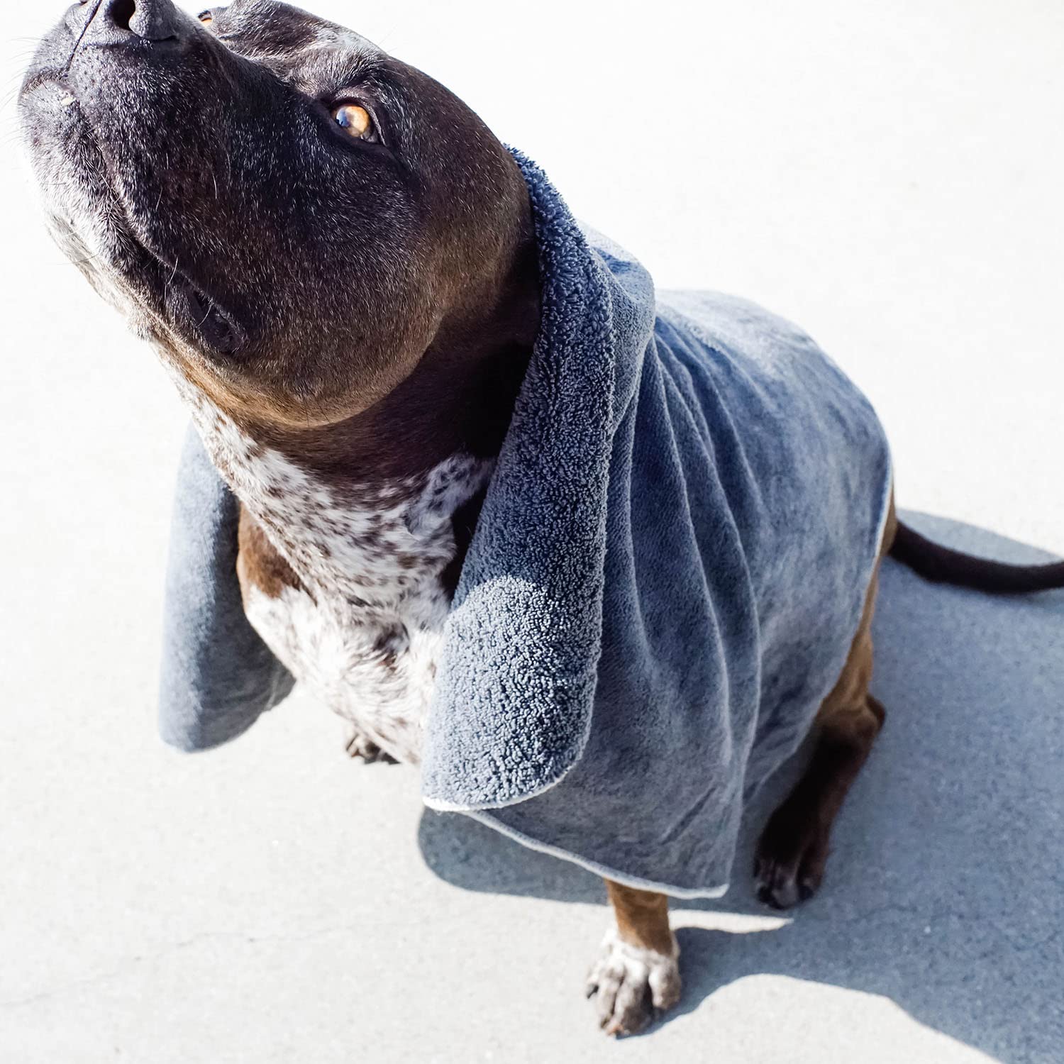 Wooflinen microfiber pet bath towel travel-use image for compact, travel-friendly drying.