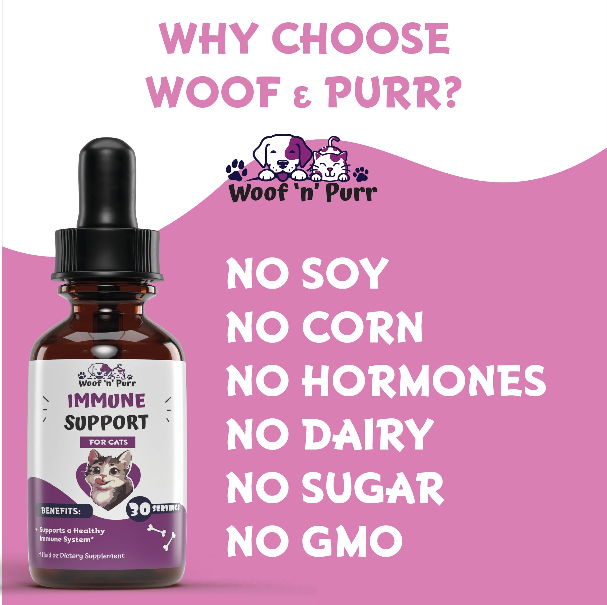 Woof 'n' Purr cat energy boost scene suggests vitality and resilience.