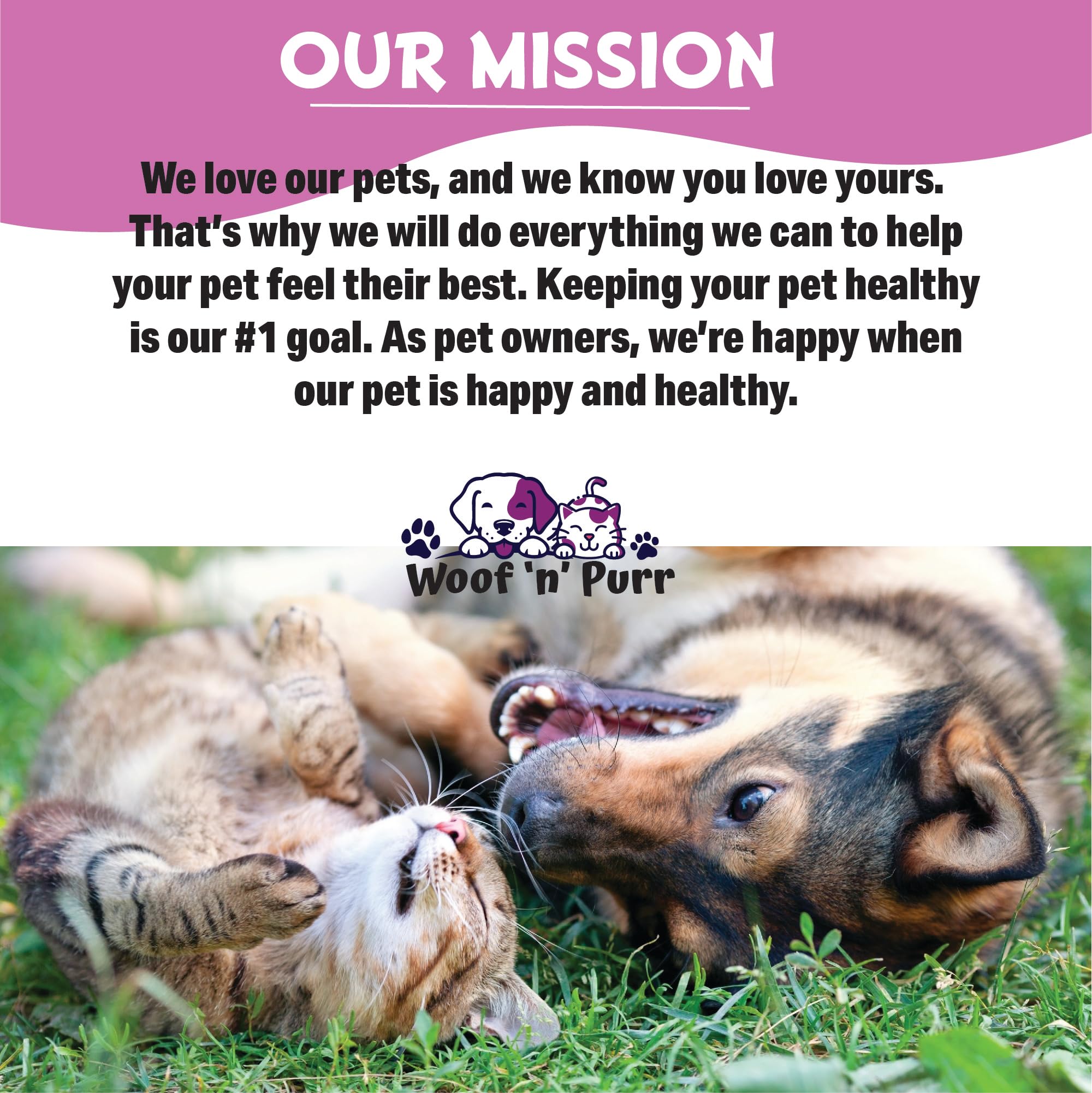 Woof 'n' Purr cat health daily-use image conveys routine immune support.