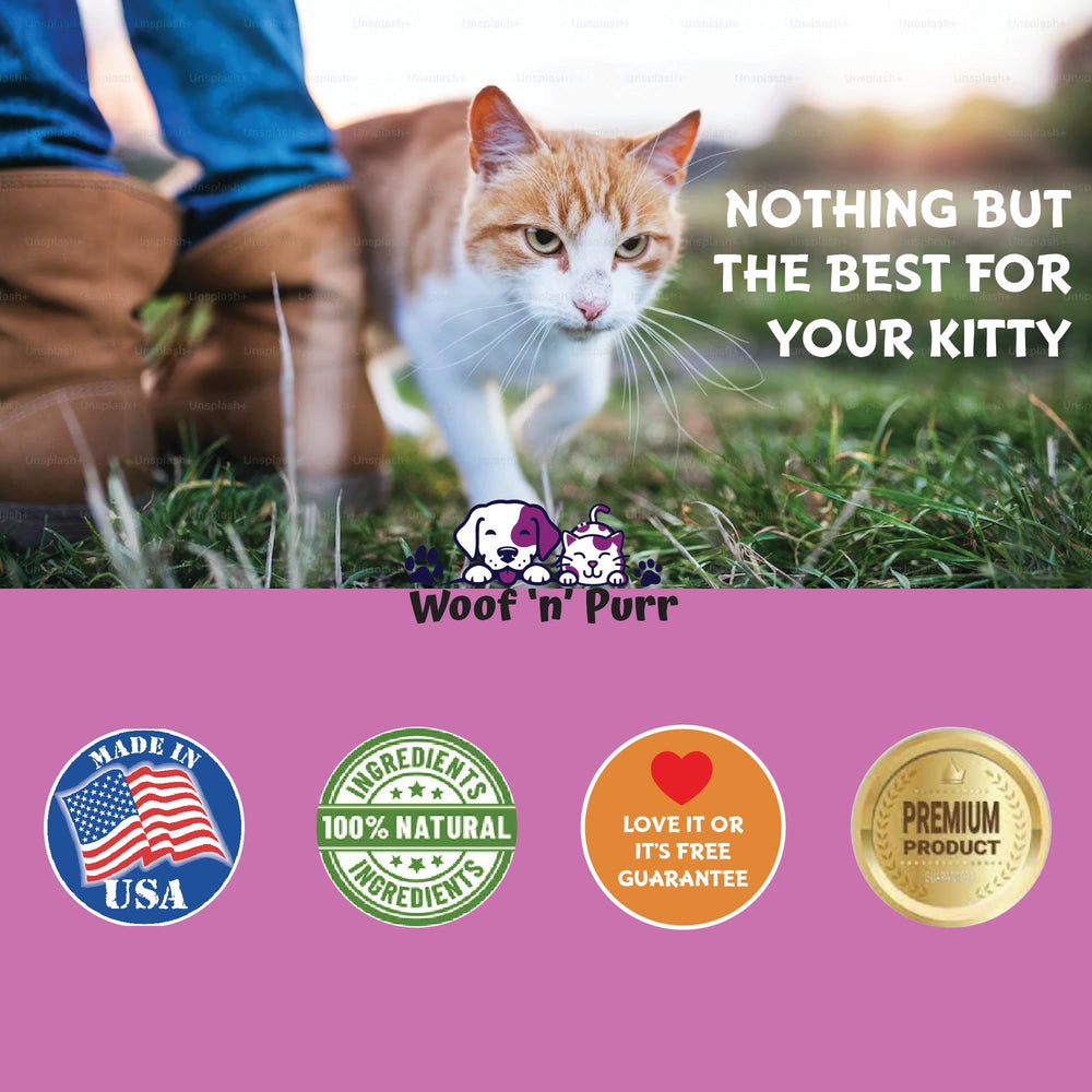 Woof 'n' Purr immune support tincture close-up shows ingredients and fast action.