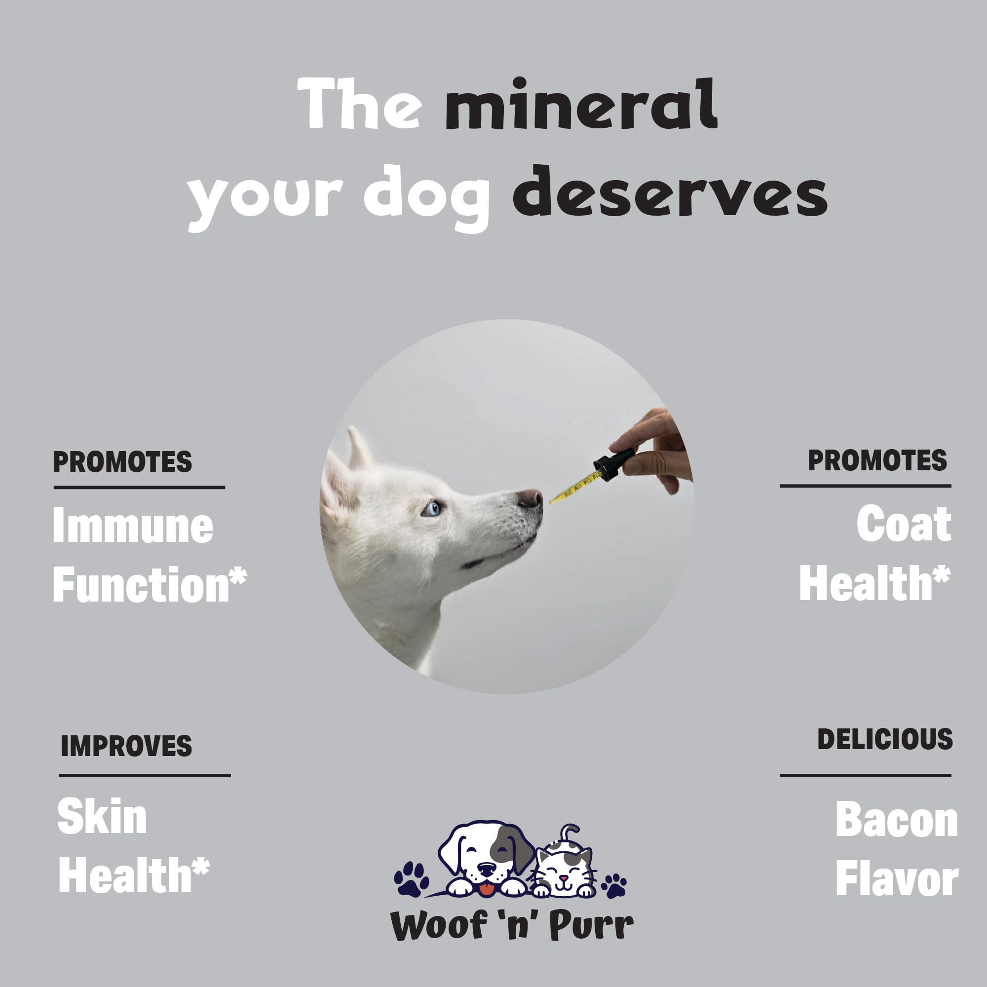Woof 'n' Purr Zinc for Dogs skin-coat close-up promoting healthier coat